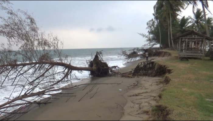 Abrasi Gerus Pantai Pasir Jambak Padang