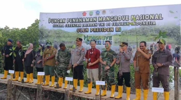 Puncak Mangrove Nasional, Penanaman 5000 Pohon di Kabupaten Bintan