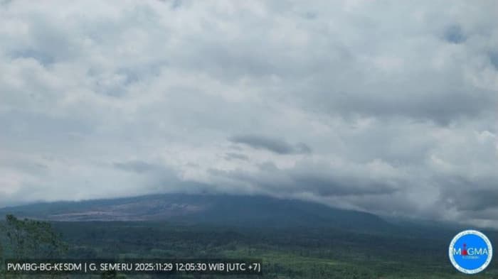 Status Semeru Turun ke Siaga, PVMBG: Tekanan Magma Stabil