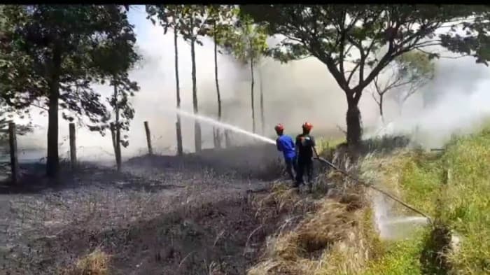Asap Tebal Menyelimuti Ruas Tol Cipali Km 147