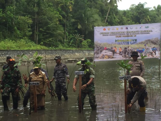 Danrem 182/JO Laksanakan Kegiatan Penanaman Mangrove Secara Serentak di Kab.Fakfak