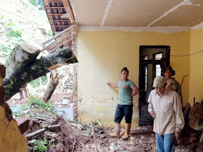 Pohon Jeruk Bali Tumbang Timpa Rumah