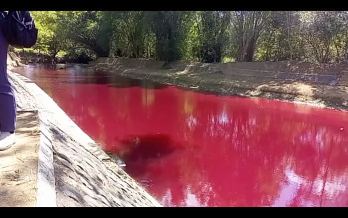 Warga Resah Air Sungai Di Pamekasan Berubah Warna Merah