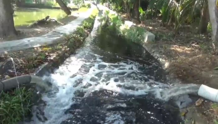 Kekeringan Landa Subang, Petani Memanfaatkan Air Limbah Pabrik