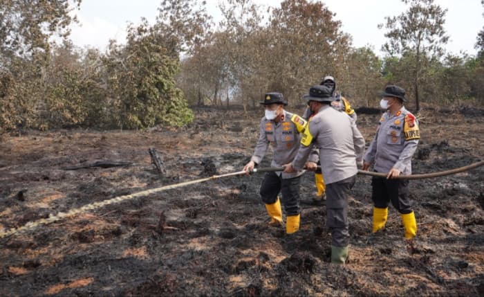 Sudah Seminggu, Upaya Pemadaman Kebakaran Lahan di Dumai-Bengkalis Terus Dilakukan