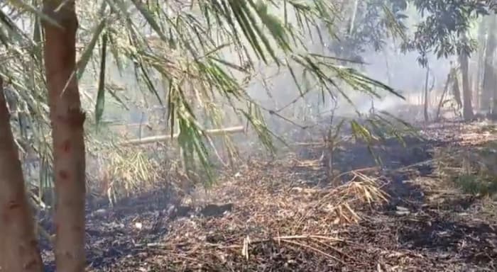 Lahan Gambut dan TPA di Majalengka Terbakar