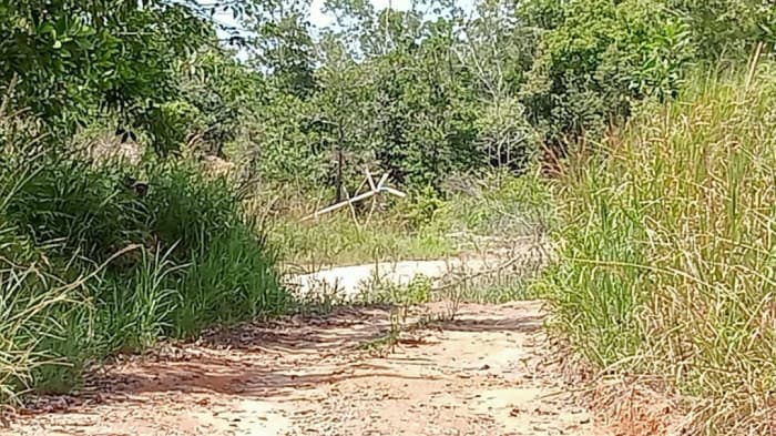 Tambang Pasir Ilegal Kembali Beraktivitas di di Kawasan Galang Batang Riau