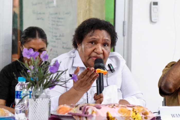 Wamendagri Dorong Perbaikan Tata Kelola RS di Papua