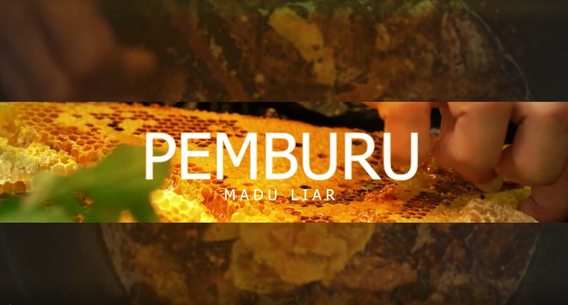 Pemburu Madu Liar
